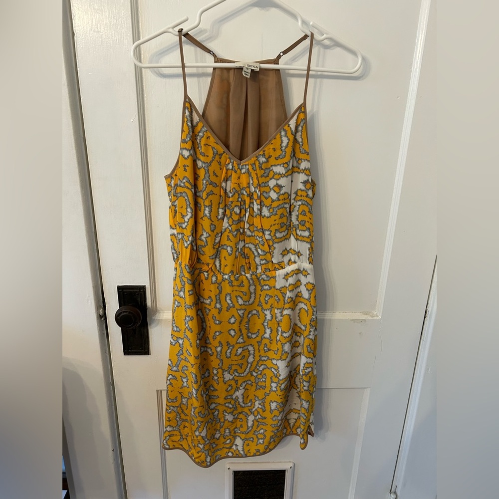 Greylin Silk Dress